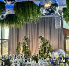 913CA668-DA44-4FB1-AD41-B828497BDA24