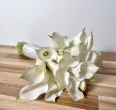 F88D7769-FC77-4DEE-BCDB-21FBA8D49FDF_1_105_c