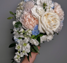 Screenshot 2025-12-11 at 8.58.14 PM